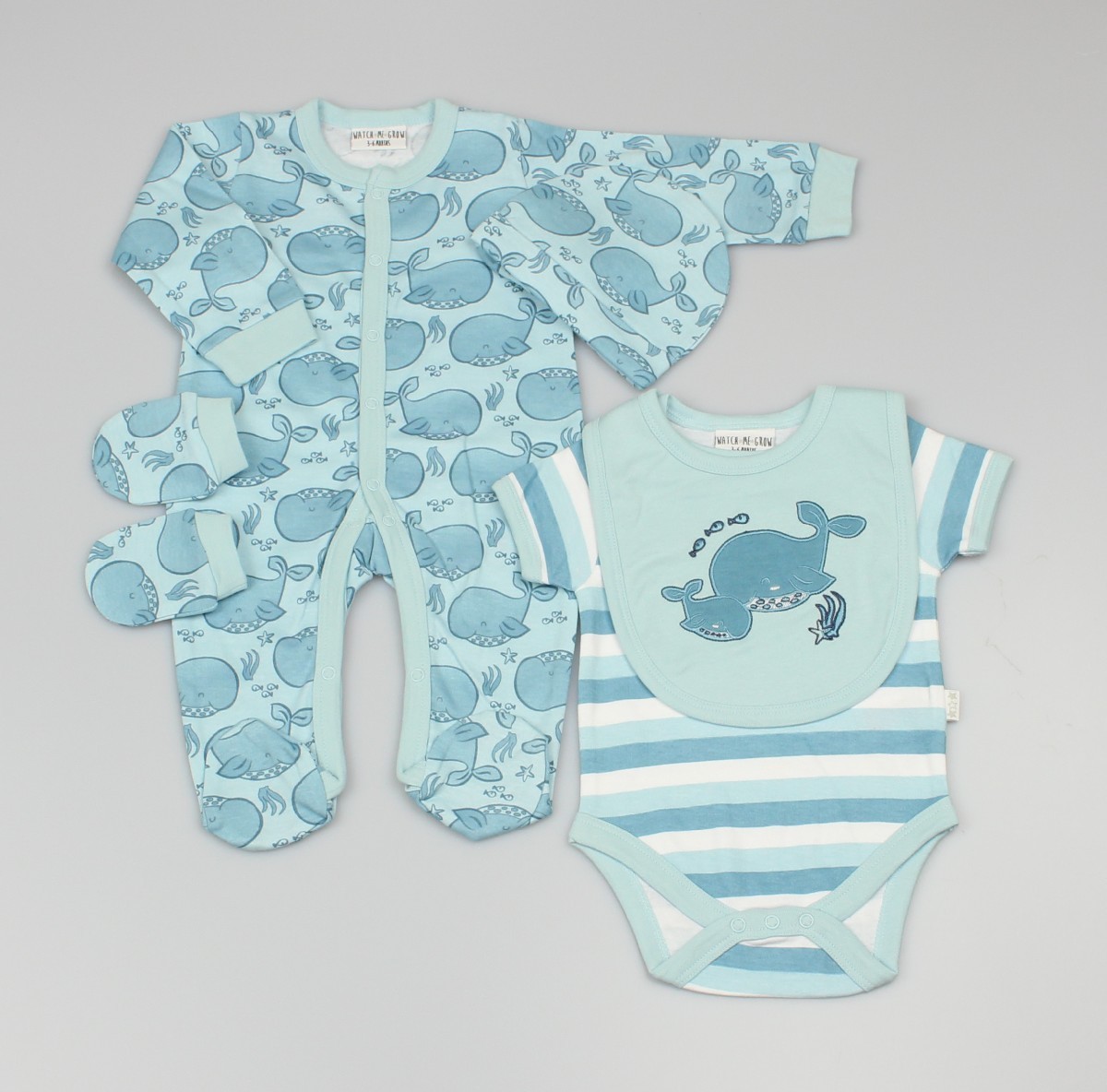 Baby 5pc Layette Gift Set - Sleepsuit, Bodysuit, Bib, Cap And Mitts