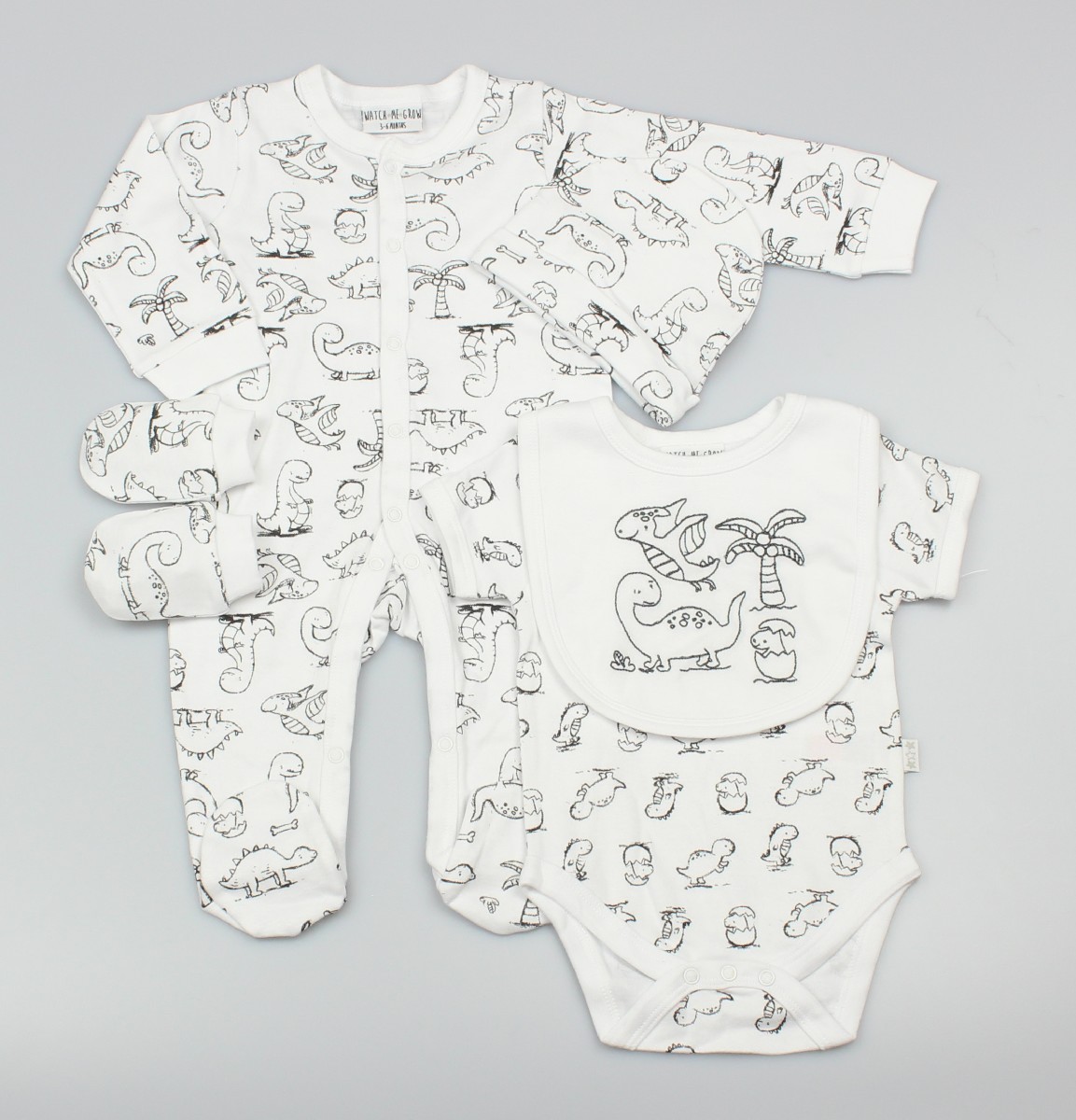 Baby 5pc Layette Gift Set - Sleepsuit, Bodysuit, Bib, Cap And Mitts
